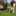 Mutterkuh Kalb Mg