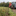 2024 Kartoffelproduktion Bio Kartoffeln Vollernter Kartoffelroder 01 Jvo