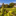 Weinbau Rebbau Weingut Arenenberg Kanton Thurgau