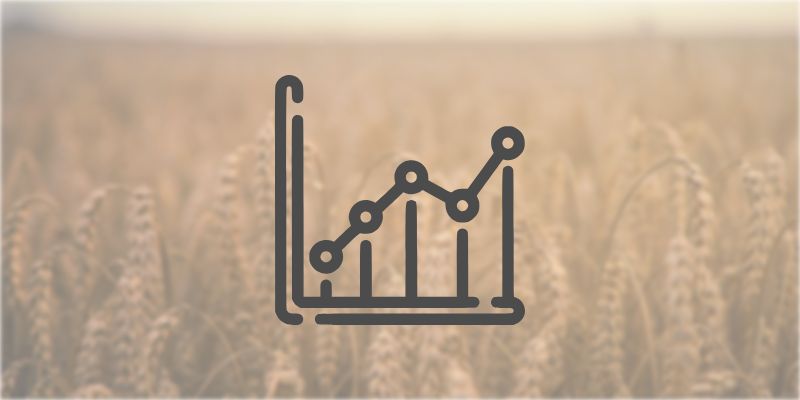 Infografik Vorschaubild Getreideflaeche
