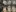 Forschung Biomasse Forschungshub HAFL Fermentationslabor Bioreaktor Mikroalgen 01 Rho