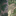Soazza Dead Trees 2023