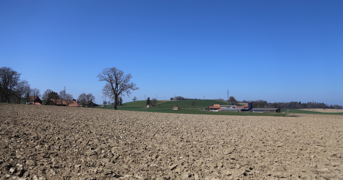 Die wichtige Rolle der Schweiz für nachhaltige Landwirtschaft