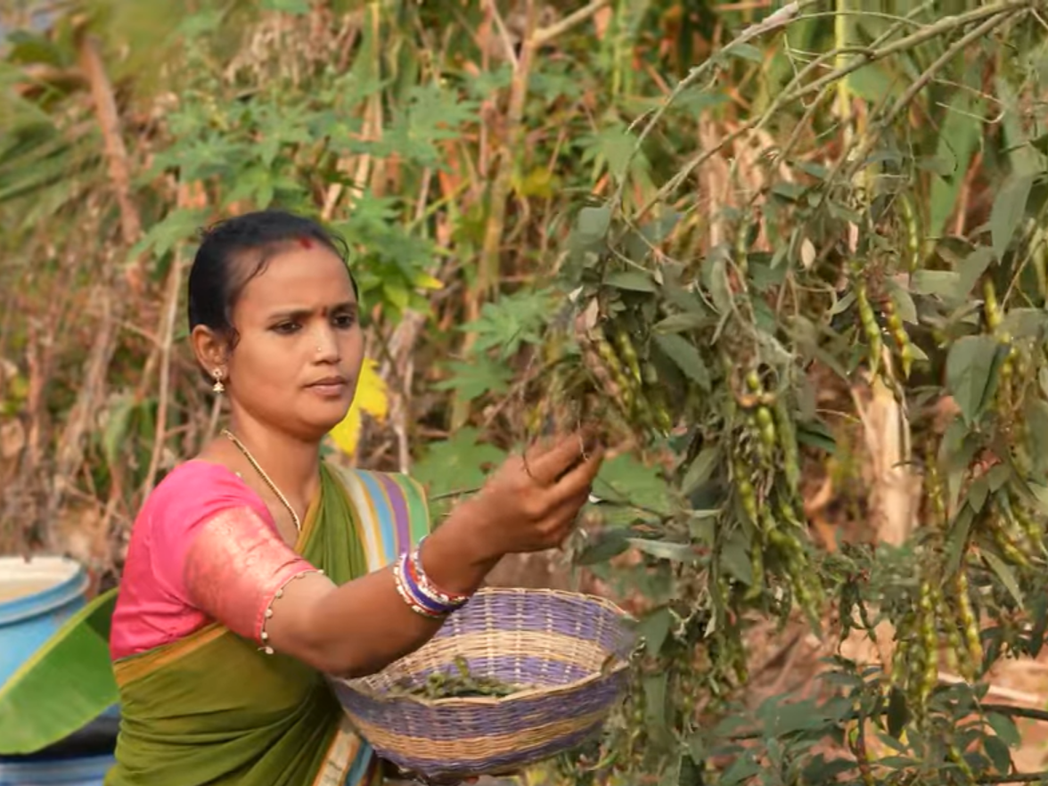 Screenshot Wurzeln Der Resilienz Arika Narasamma APCNF Youtube