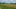 2024 Acker Feld Mit Mohnblumen Jin