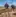 Regenerative Landwirtschaft Bodenbearbeitung Weisshaeupl Studer