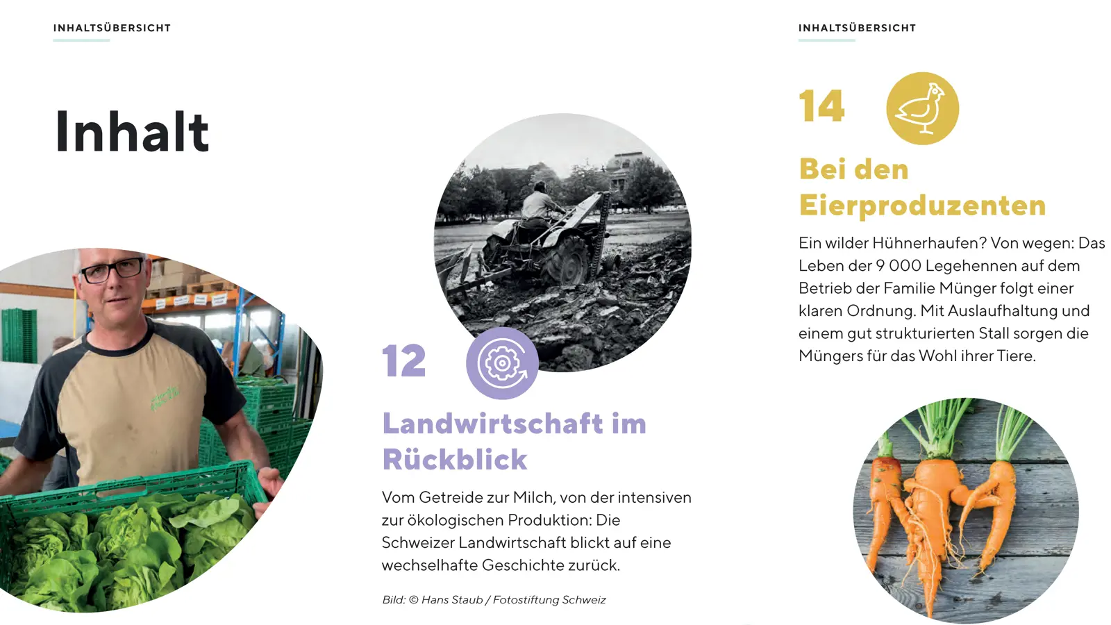 zoom - Landwirtschaft verstehen