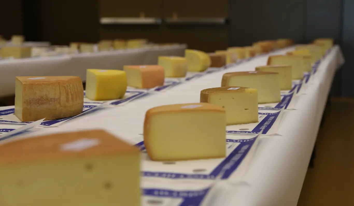Exporte unter Druck: SCM kämpft für den Erfolg von Schweizer Käse