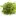 Parsley 1665402 1280