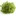 Parsley 1665402 1280