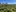 2025 Olivenanbau Agroforst Olivenbaeume 02 Mwi