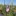 Biodiversitaetsflaechen COLETTE BASLER