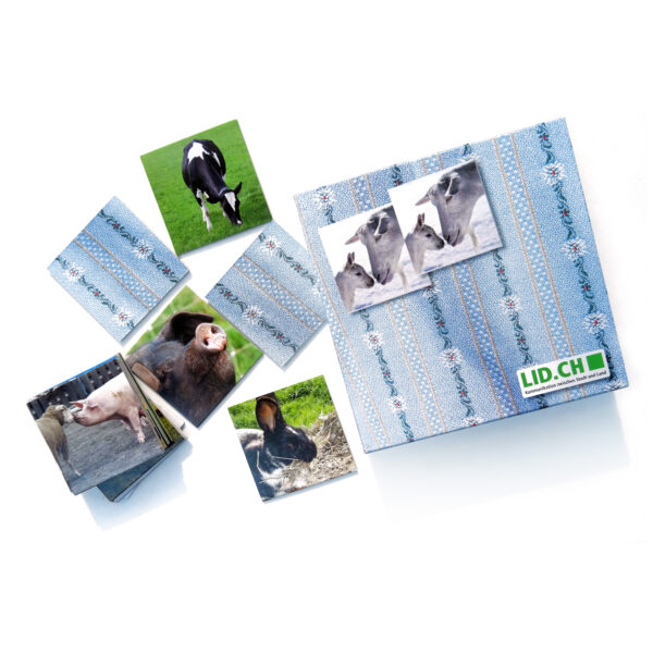 SBV20 Webshop Tier Memory 600X600