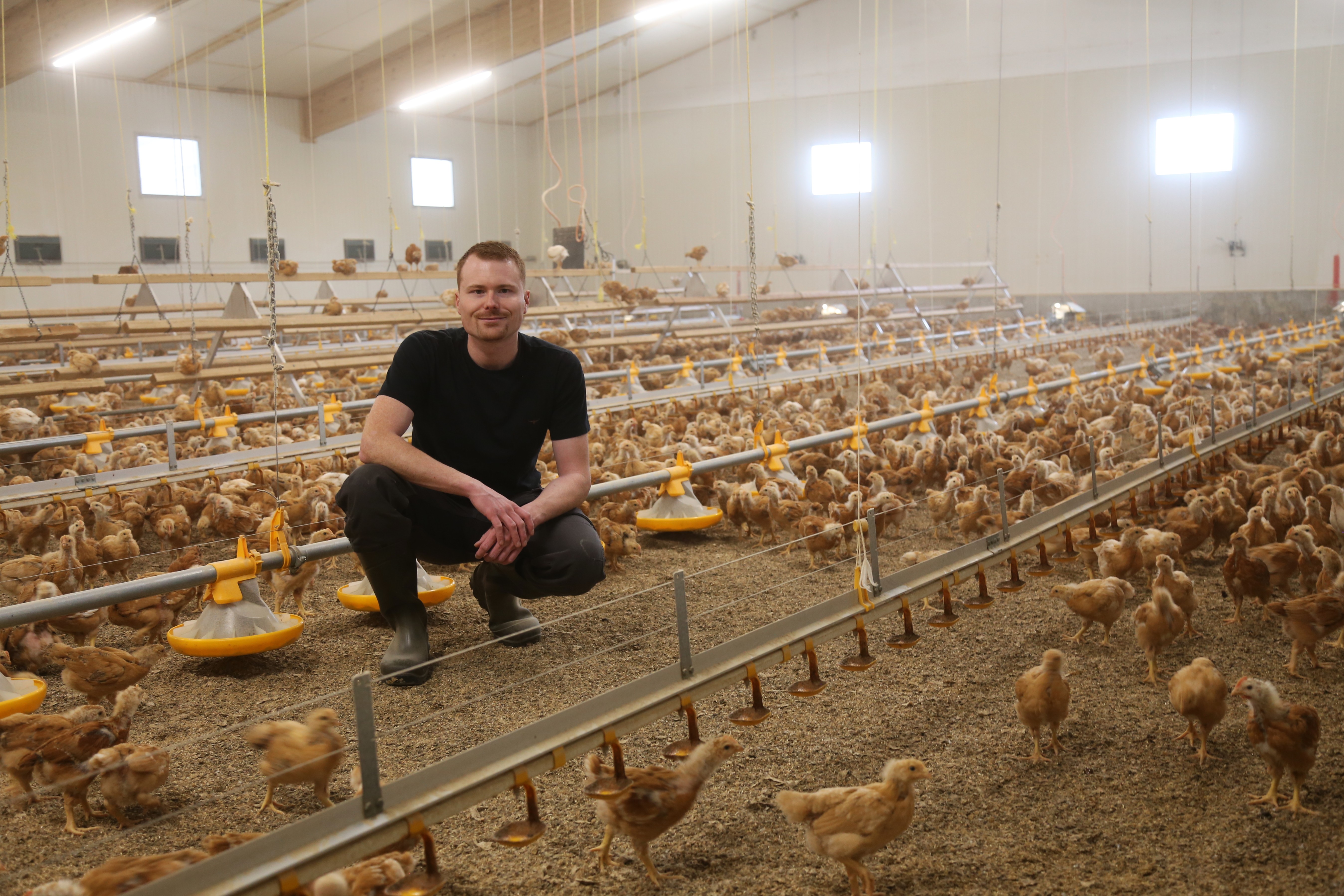 2026 Bildung In Der Landwirtschaft Gefluegelwirtschaftsmeister Raphael Meier Rho