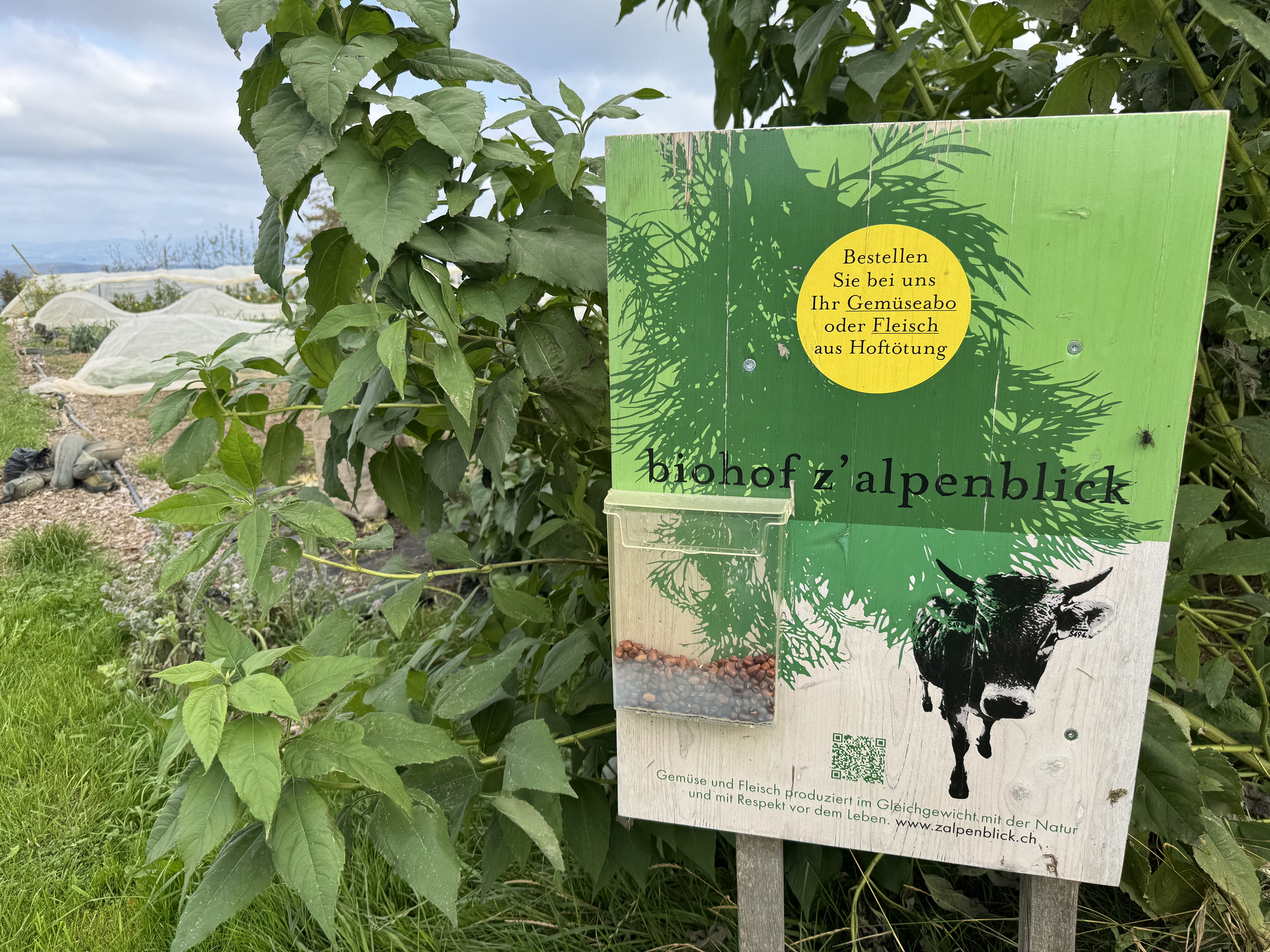 2025 Regenerative Landwirtschaft Top 50 Farmers Biohof Zalpenblick Hirzel ZH Rho
