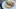 2025 Fleischersatz Vegetarisches Filet Pilzmyzel Mit Zucker Fermentiert Rho