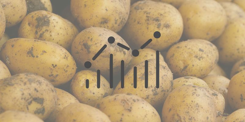 Infografik Vorschaubild Kartoffelanbau