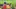 2025_Schulprojekte_Bauerngarten-Buuregarte_Kinder-im-Garten_ppa