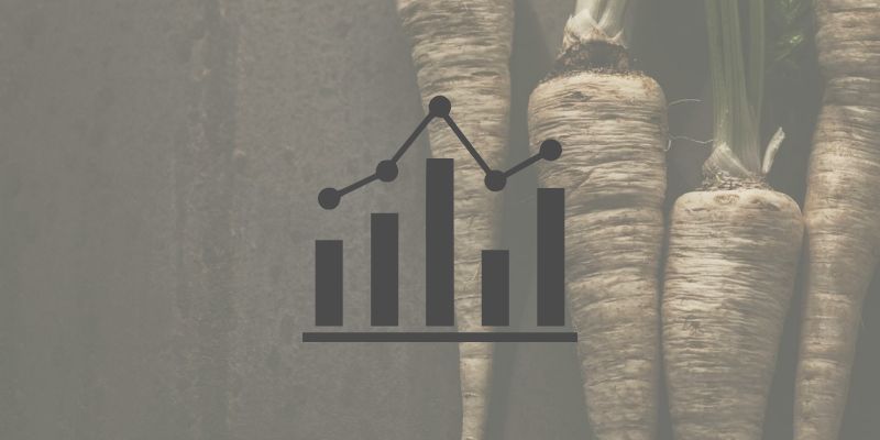 Infografik Vorschaubild Pastinake