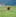 2019 Red Holstein Huetten Zh Lid