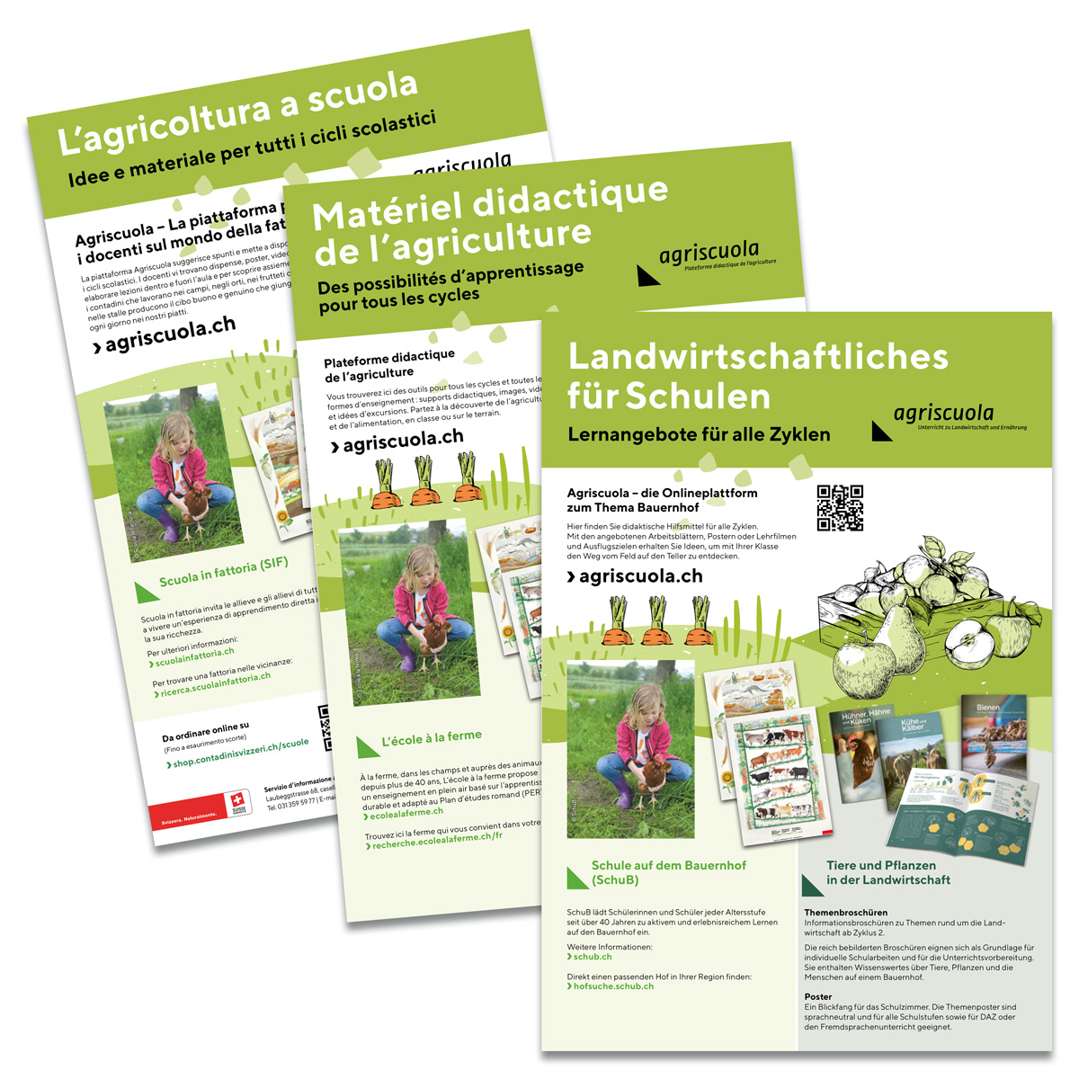 20214Dfi Flyer Landwirtschaftliches Für Schule DFI
