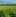 20240612 Bluehendes Kartoffelfeld Jin