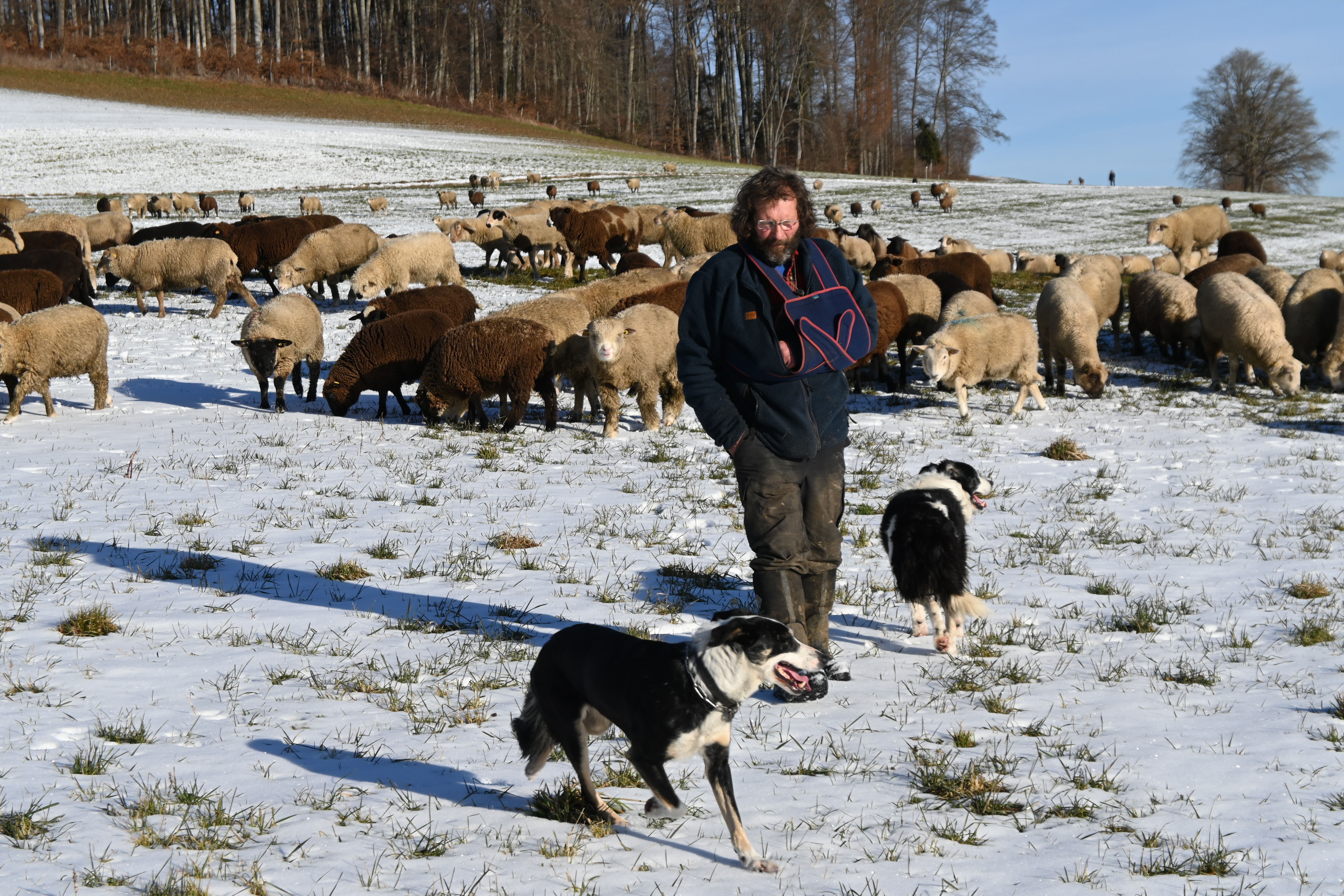 20251501 Schafhirt Nyffeler 3 Jba