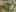 Betriebsleitung Ferme Chautems Luftbild Ferme Chautems