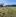 Wuehlmaeuse Haufen 02 Rho