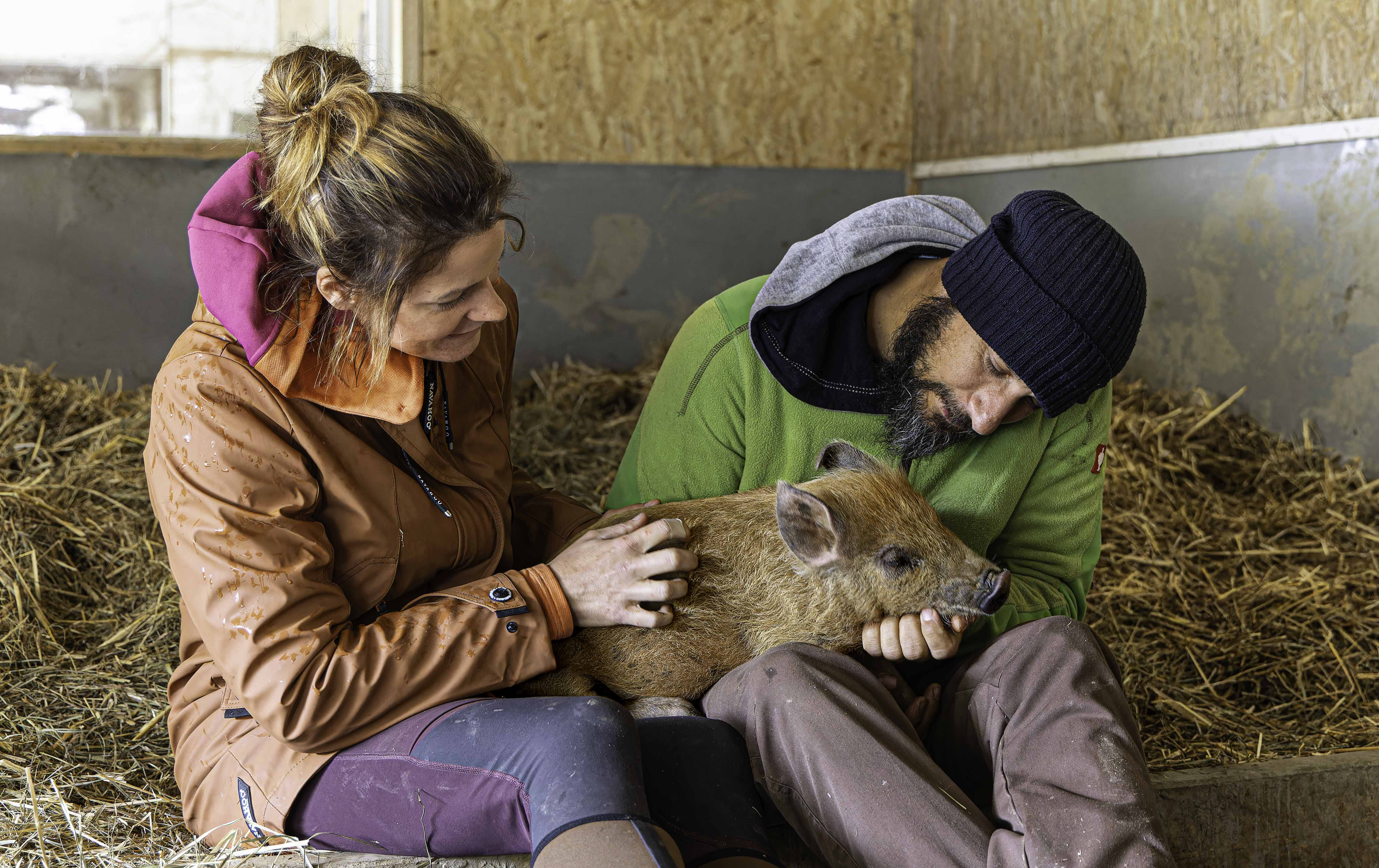 Landwirtschaft Ohne Nutztiere Lebenshof Fabienne Meier Thomas Reinhard Naturhof Waltwil 4 Zvg Pro Tier