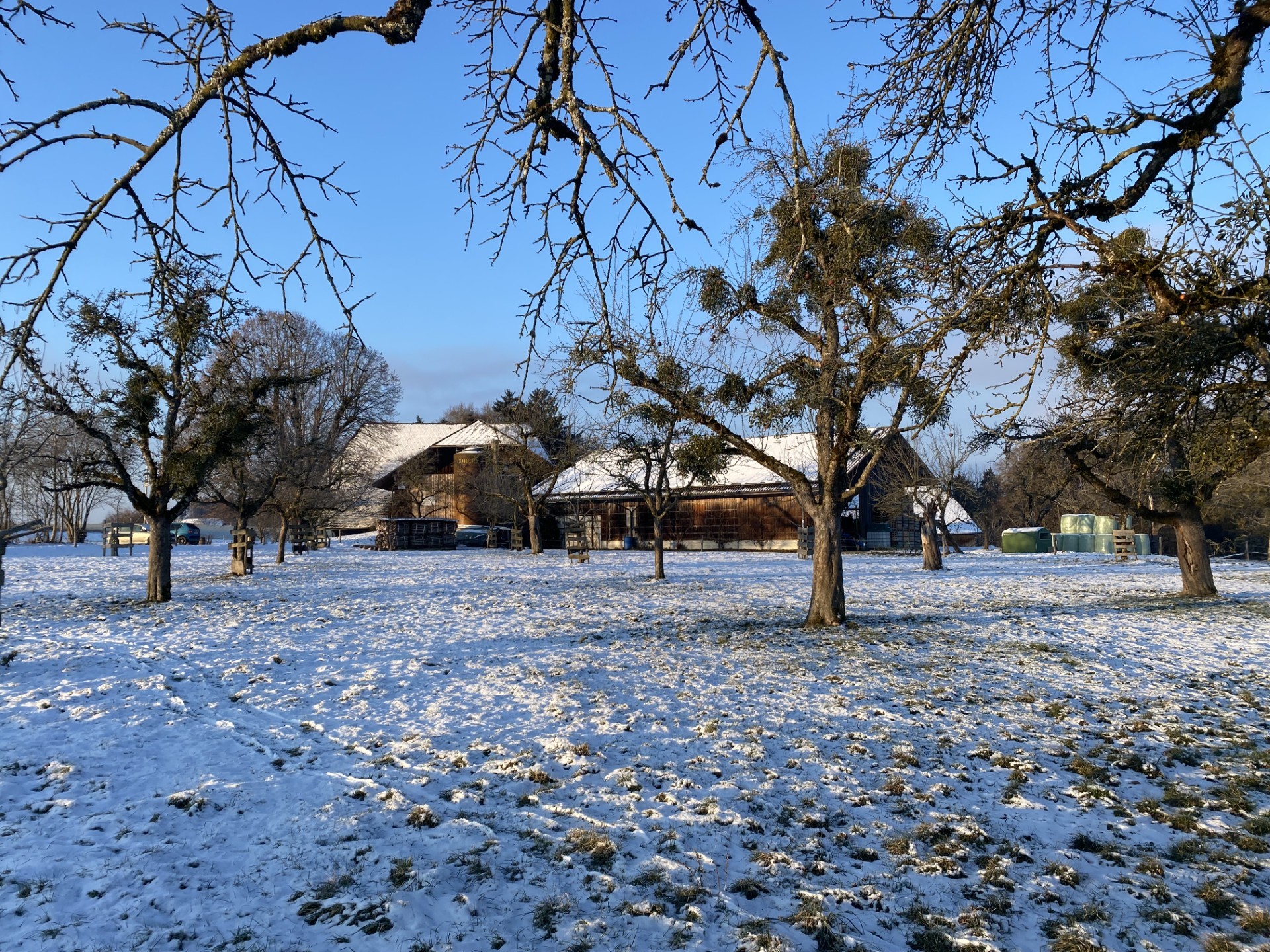 2026 Ruedisbach Thomas Stefanie Wynistorf Topinambur 01 Ewi