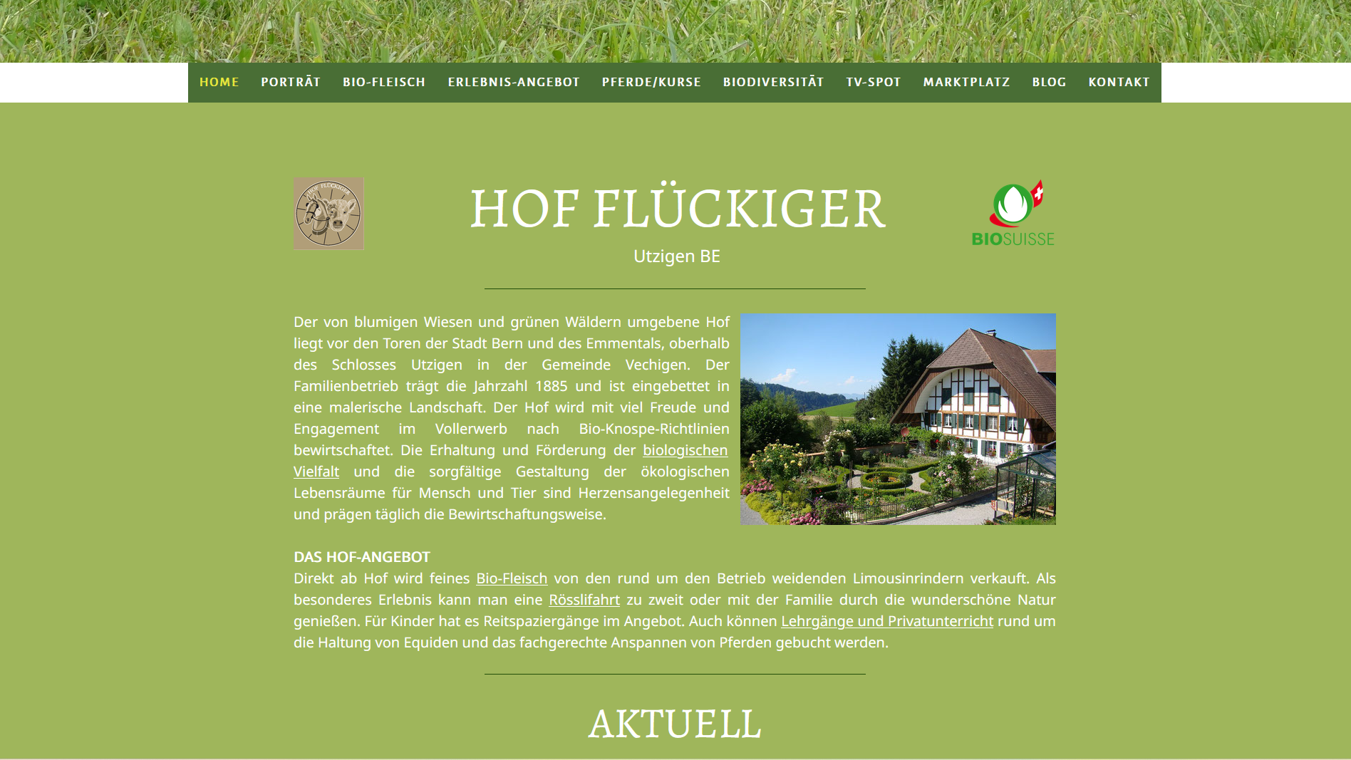 Screenshot 2024 08 06 153353