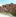 2024 Wald Holz Forst Rundholz Holzstoss Polter Rho
